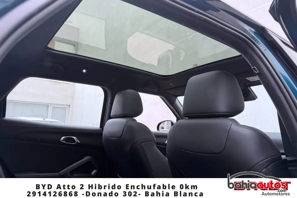 BYD usado en Bahía Blanca - foto 10